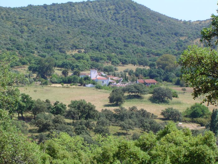 panorámica